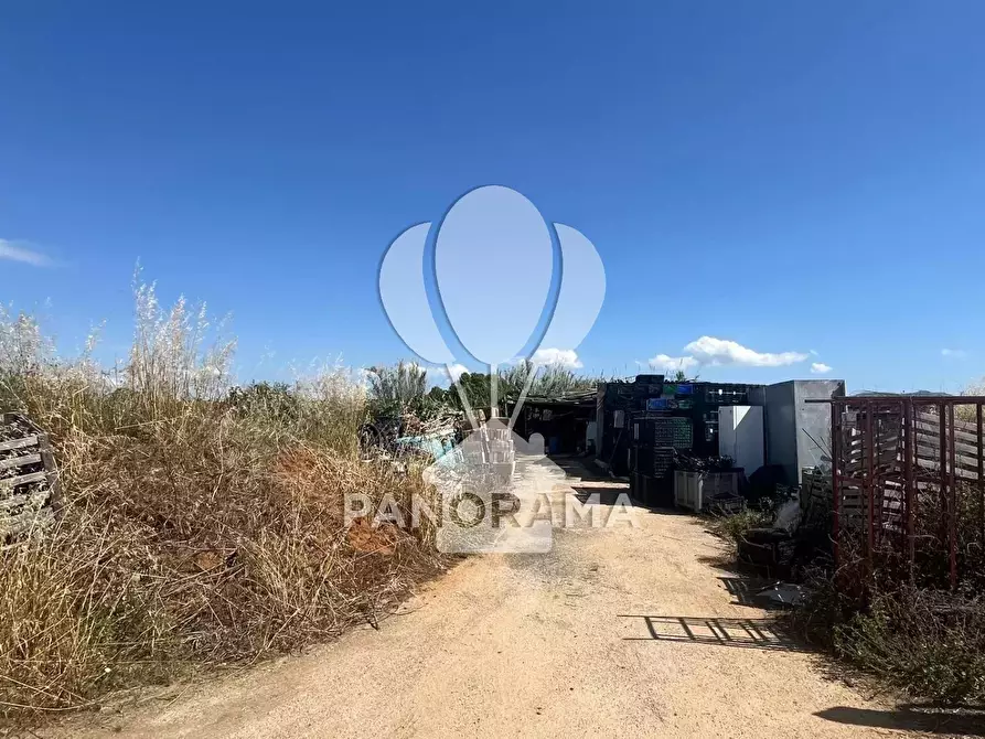 Immagine 21 di Terreno in vendita  a Balestrate