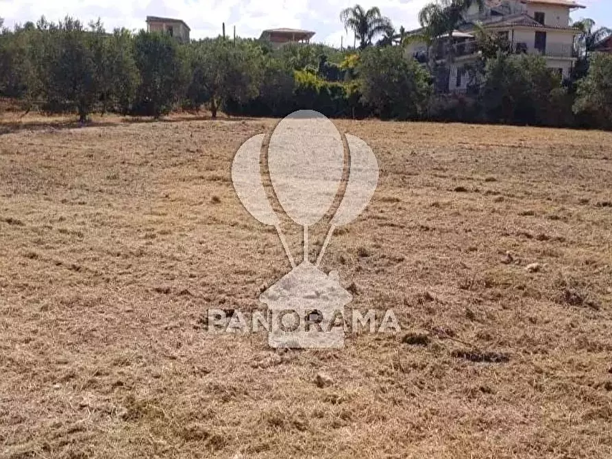 Immagine 3 di Terreno in vendita  in SS 113 a Partinico