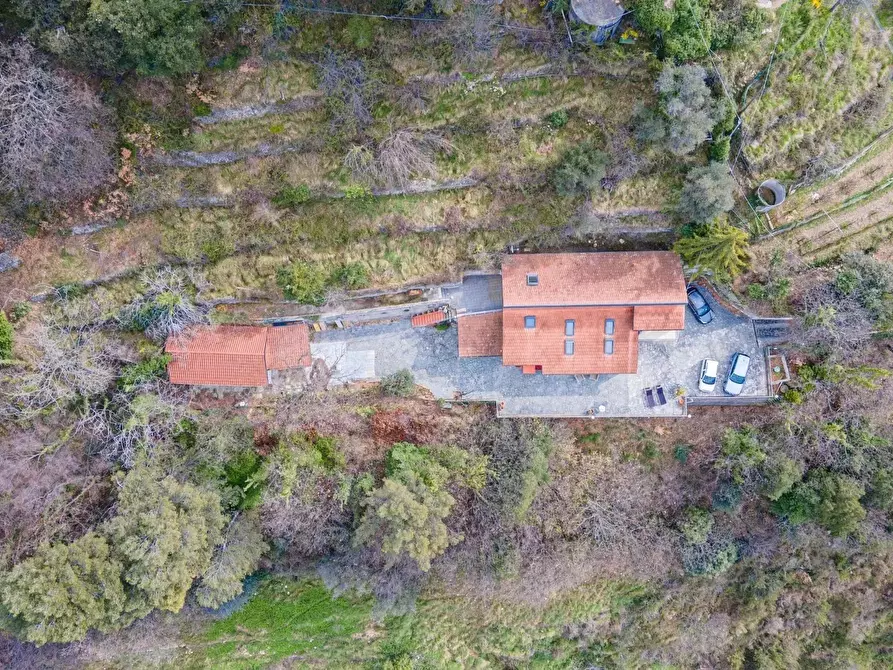 Immagine 23 di Terreno edificabile in vendita  a Ventimiglia