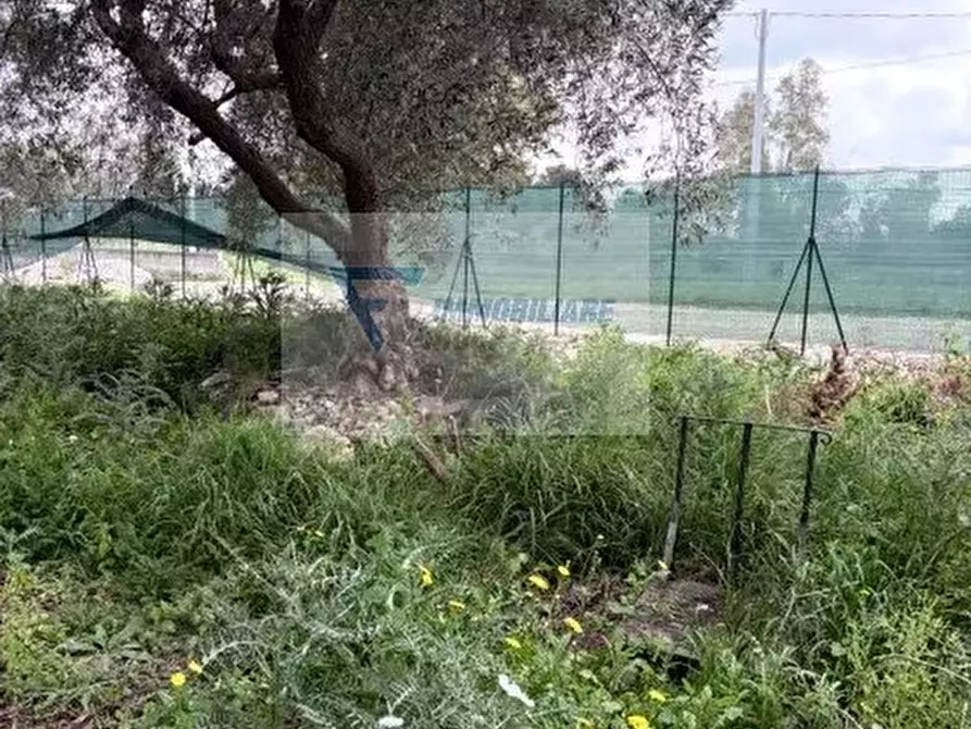 Immagine 8 di Terreno edificabile in vendita  in Via San Guglielmo Abate a Siracusa