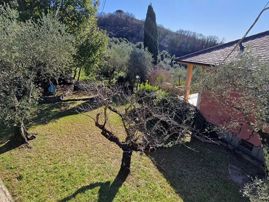 Immagine 15 di Terreno edificabile in vendita  in Via Domenico Canata a Avegno