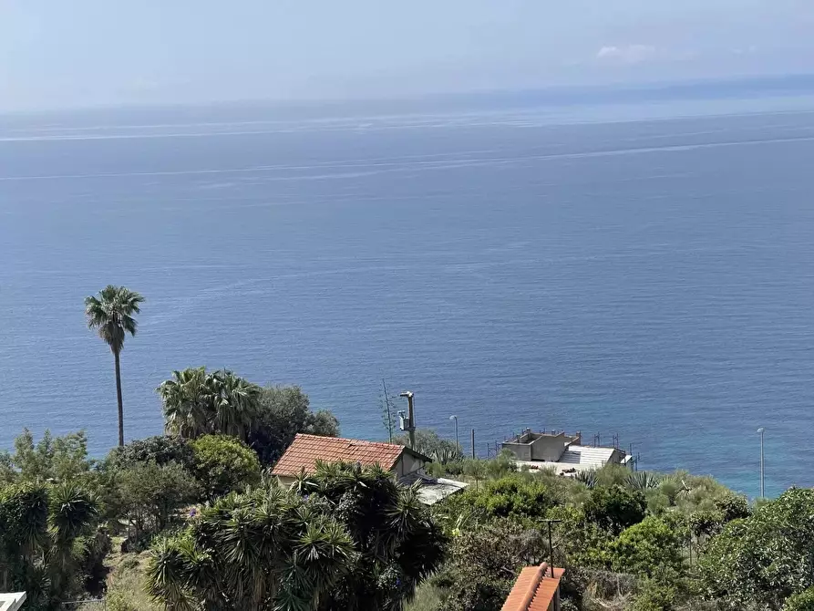 Immagine 5 di Casa trifamiliare in vendita  a Ventimiglia