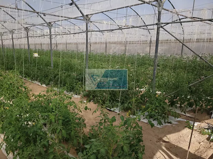 Immagine 6 di Attico in vendita  in CONTRADA GRANELLI a Pachino