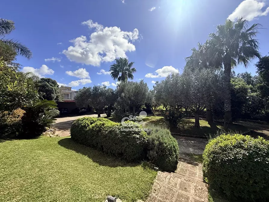 Immagine 9 di Terreno edificabile in vendita  a Marsala