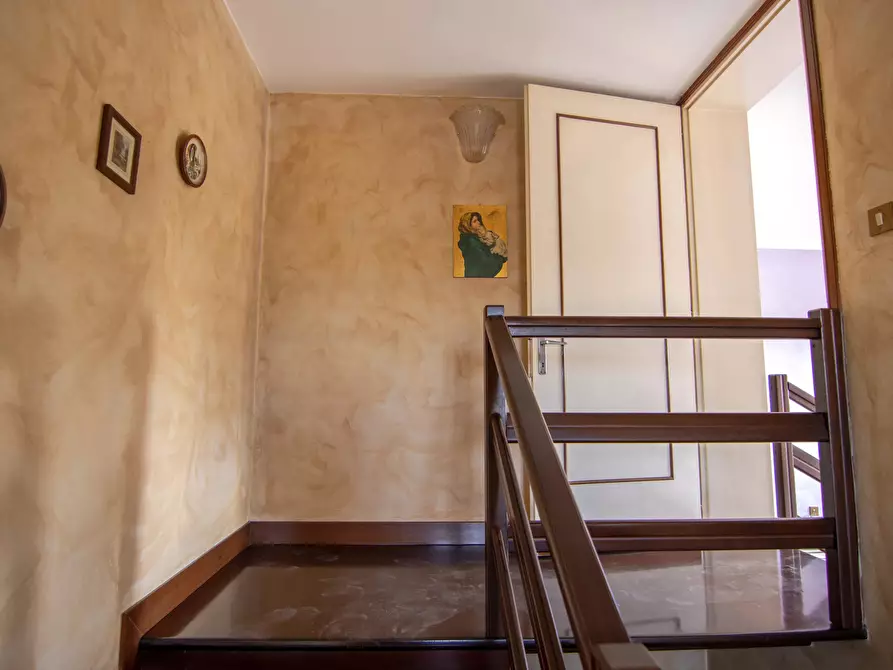 Immagine 32 di Terreno edificabile in vendita  a Campagna Lupia