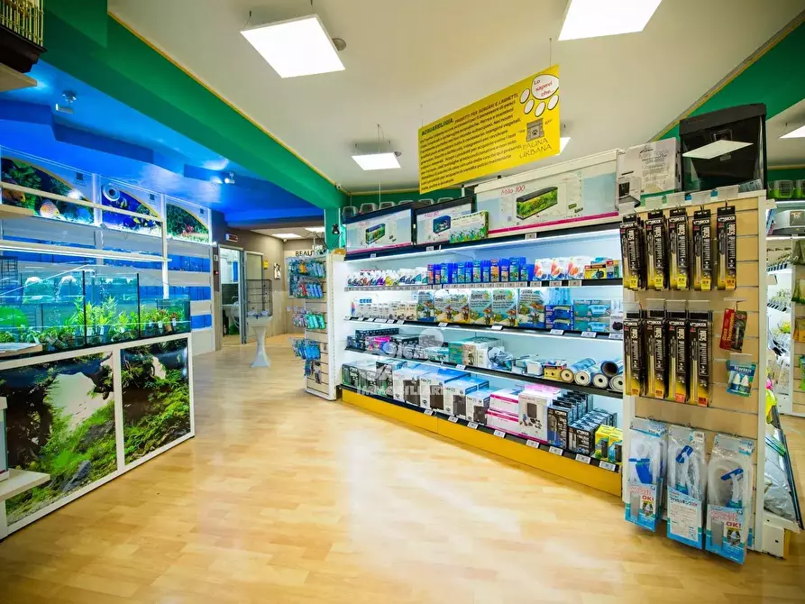 Immagine 3 di Attico in affitto  a Marsala