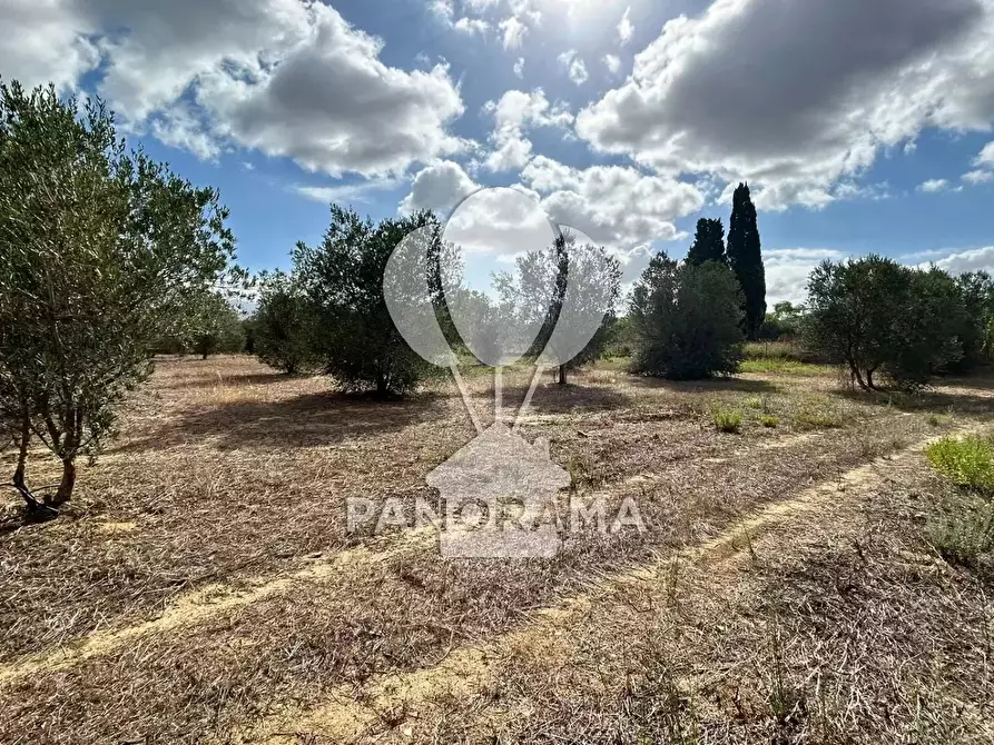 Immagine 25 di Terreno edificabile in vendita  in Strada Statale 113 a Partinico