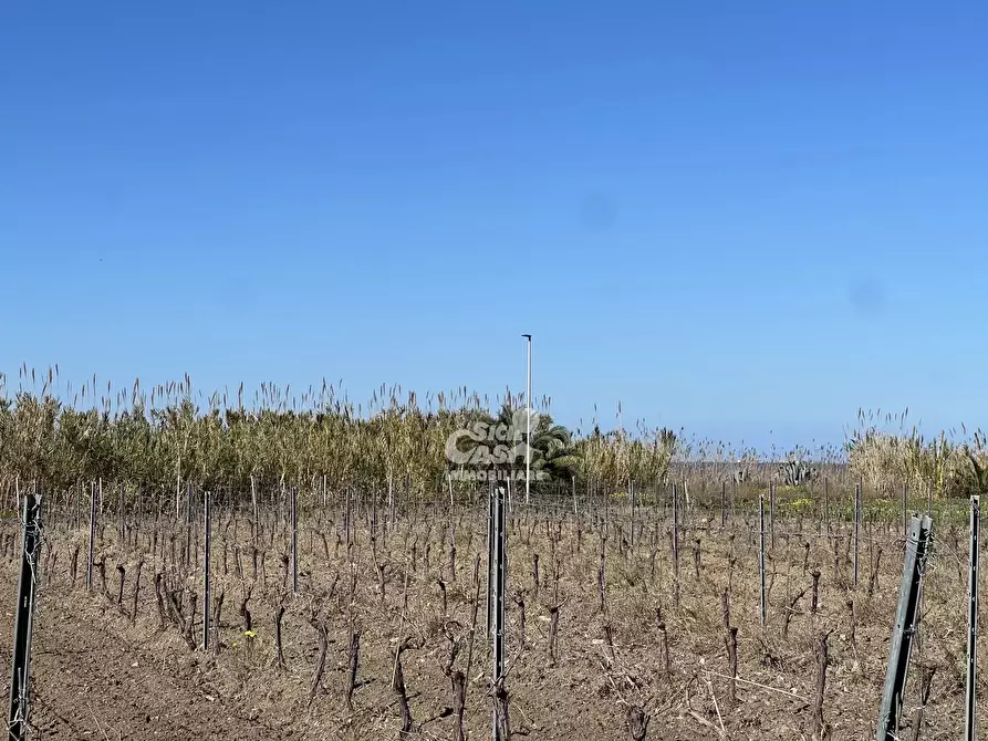 Immagine 11 di Terreno in vendita  a Marsala