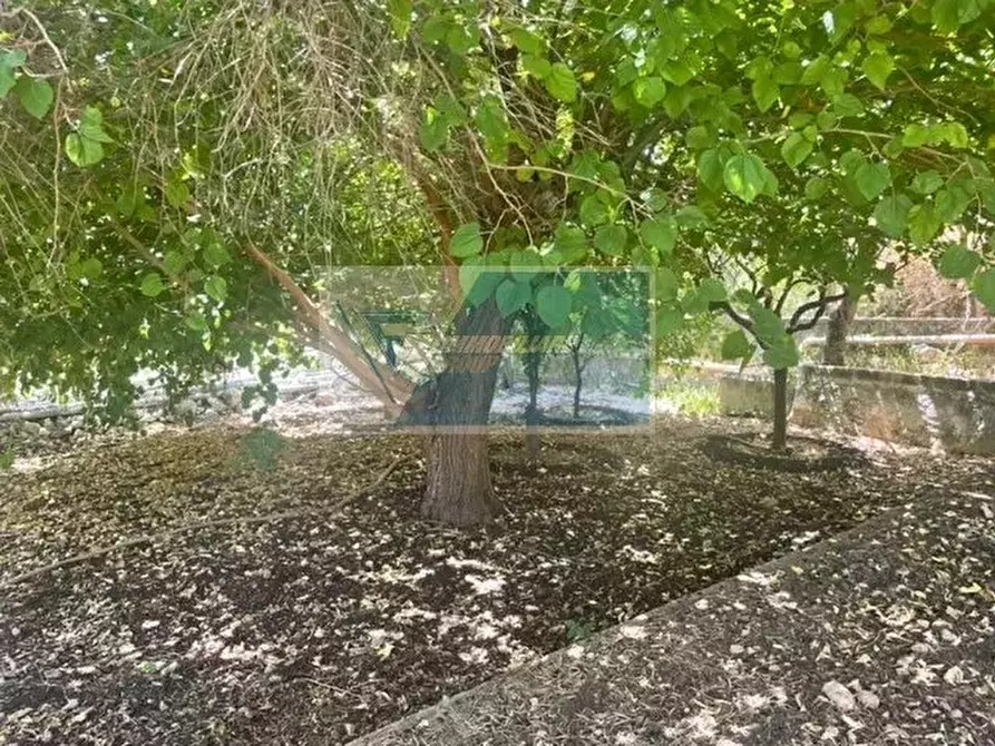 Immagine 23 di Terreno edificabile in vendita  in Via Monti Climiti a Buccheri