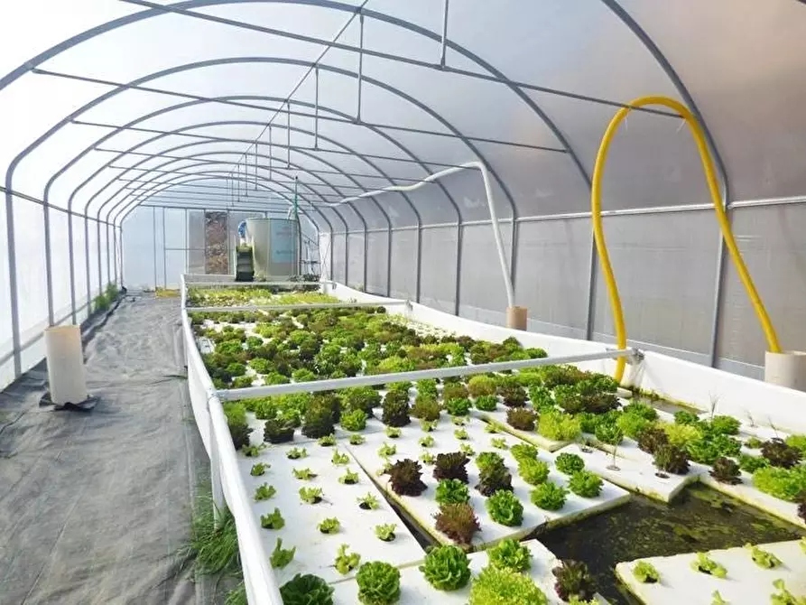 Immagine 15 di Attico in vendita  a Baldissero D'alba