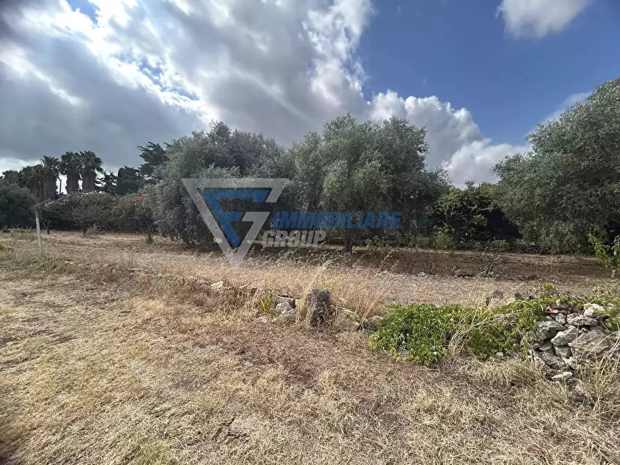 Immagine 32 di Terreno edificabile in vendita  in Traversa Masseria Gargallo a Siracusa