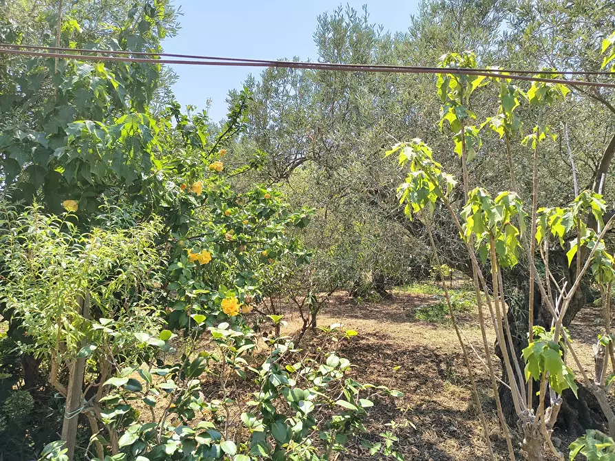 Immagine 4 di Terreno edificabile in vendita  a Messina