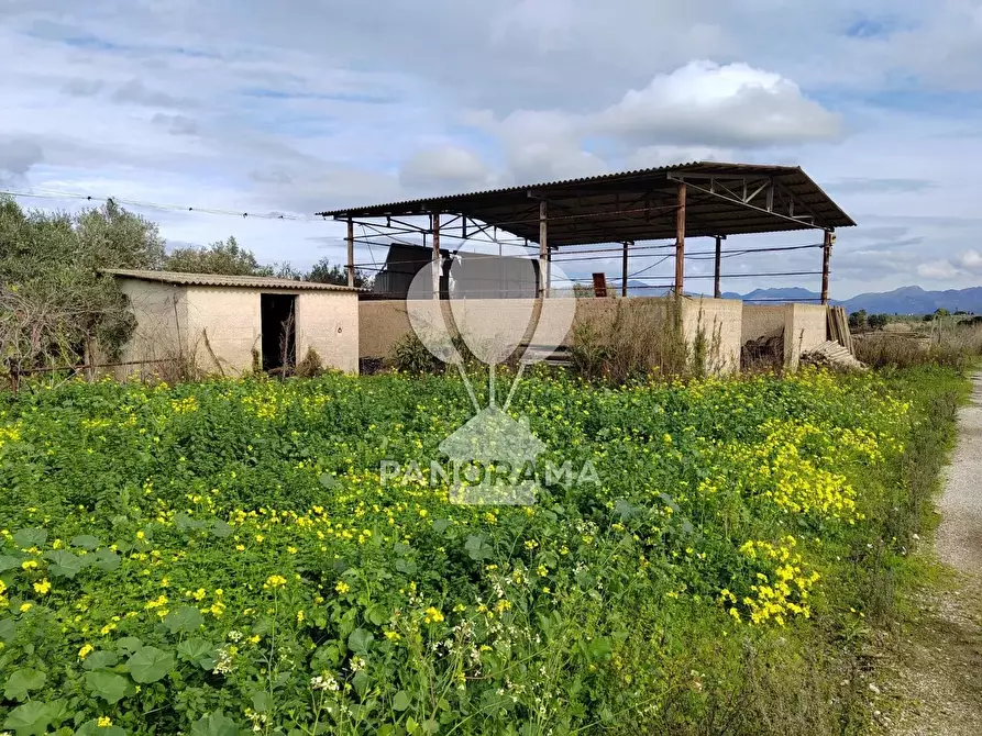 Immagine 6 di Attico in vendita  a Partinico