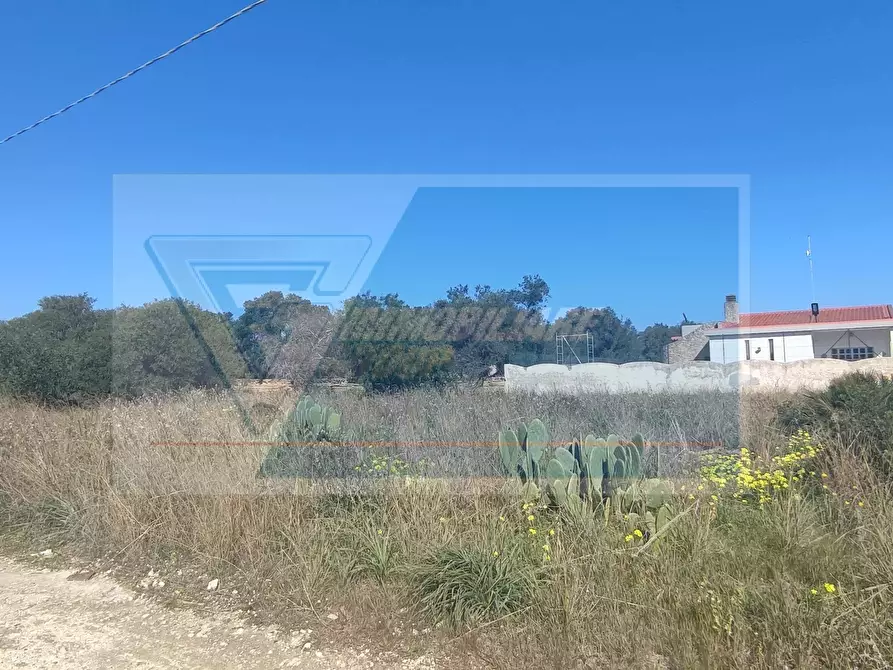 Immagine 6 di Terreno in vendita  a Siracusa