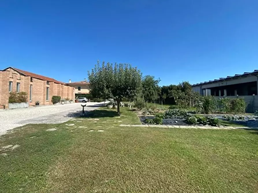 Immagine 4 di Terreno edificabile in vendita  a Vazzola