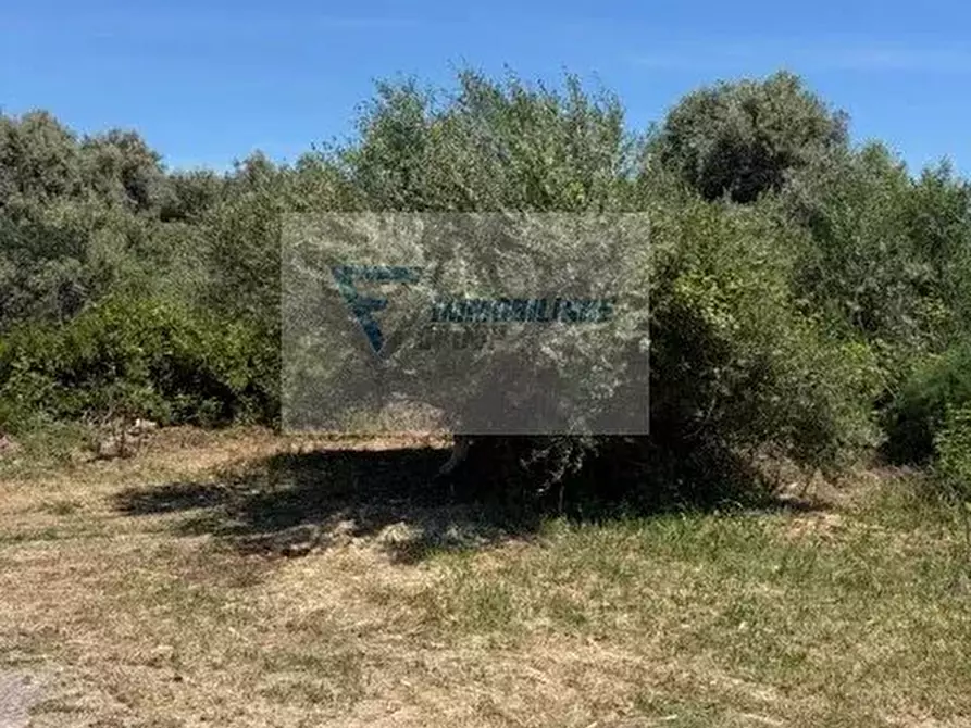 Immagine 3 di Terreno in vendita  in Via Attilio Regolo a Siracusa