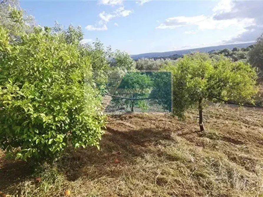 Immagine 3 di Terreno in vendita  a Siracusa