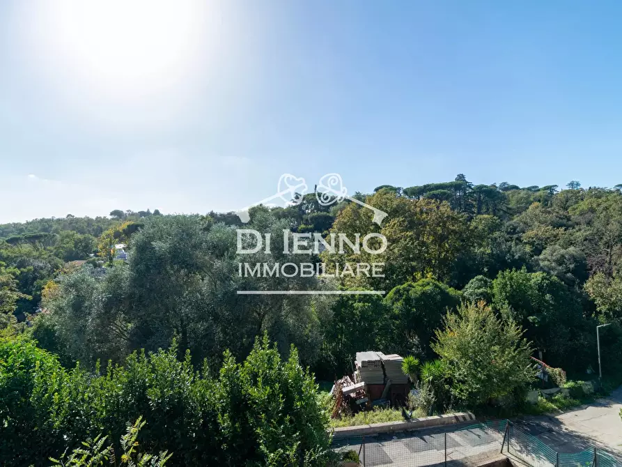 Immagine 22 di Terreno edificabile in vendita  a Canale Monterano