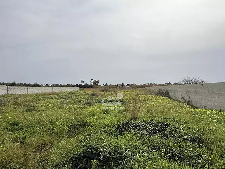 Immagine 8 di Terreno edificabile in vendita  a Marsala