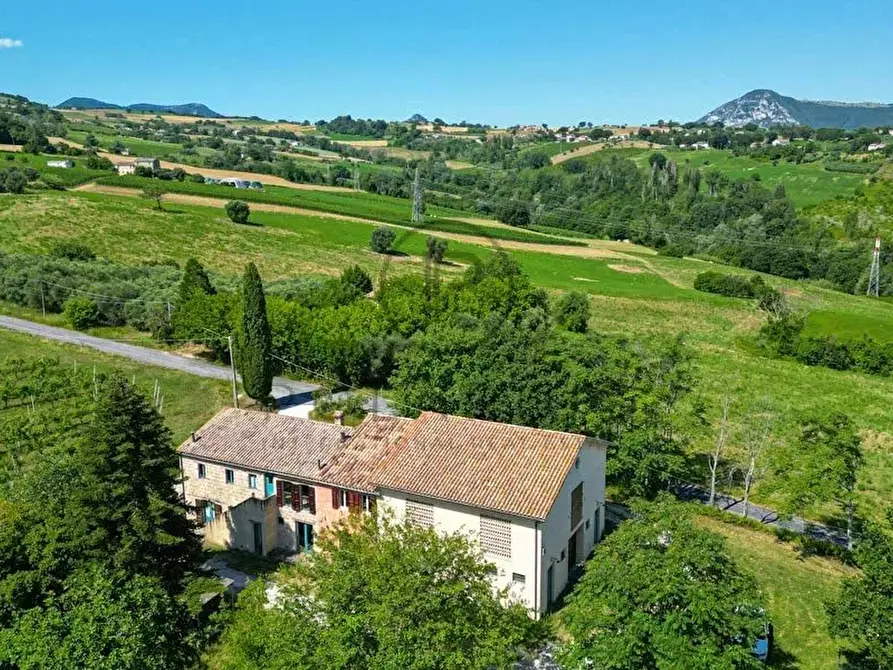 Immagine 9 di Terreno edificabile in vendita  in Serra San Quirico a Serra San Quirico