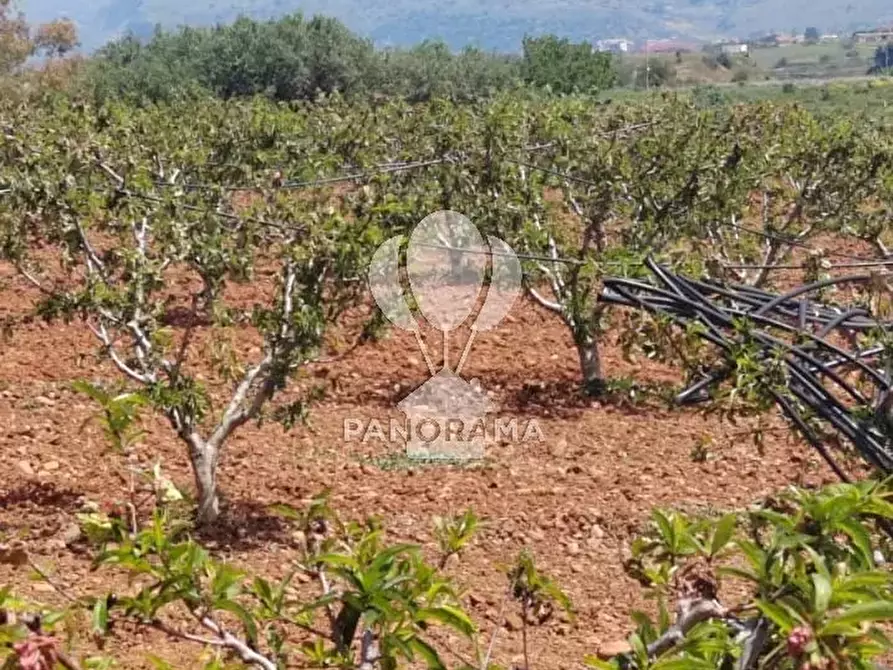 Immagine 7 di Terreno in vendita  in Via Adda Partinico a Partinico