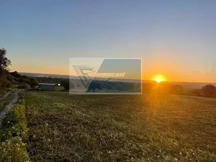 Immagine 4 di Terreno in vendita  in C.da Carancino a Siracusa