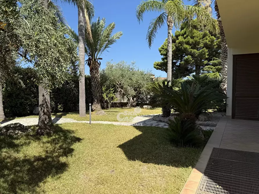 Immagine 3 di Terreno edificabile in vendita  a Marsala