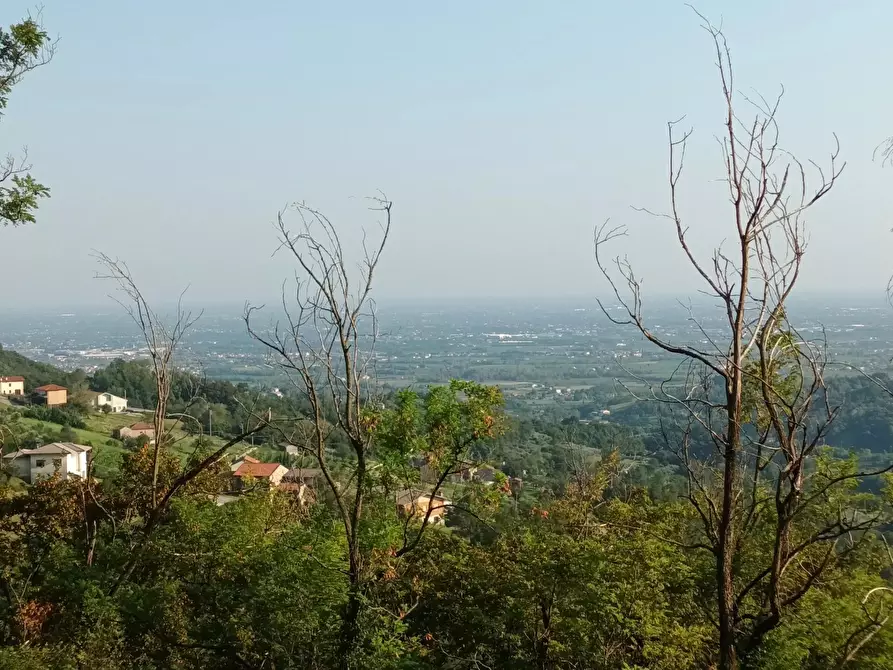 Immagine 2 di Terreno edificabile in vendita  a Sarmede