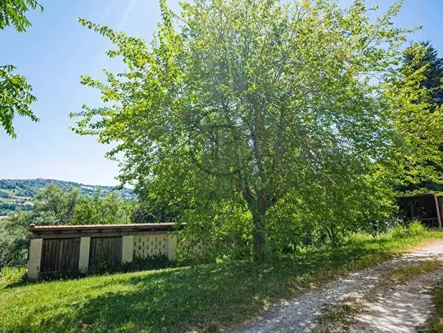 Immagine 21 di Terreno edificabile in vendita  in Serra San Quirico a Serra San Quirico
