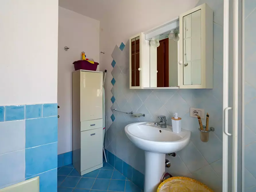 Immagine 24 di Casa trifamiliare in vendita  in Via Massimo Kolbe, 4 a Aggius