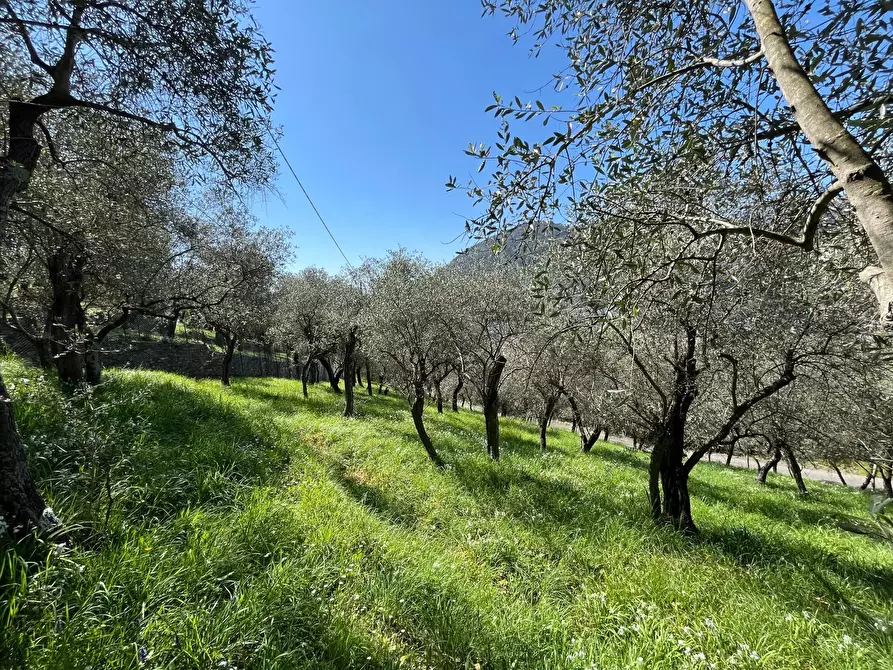 Immagine 11 di Casa trifamiliare in vendita  in Località San Pier di Canne Case Sparse a Chiavari