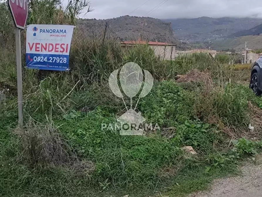 Immagine 7 di Terreno in vendita  in Rurale 14 a Partinico