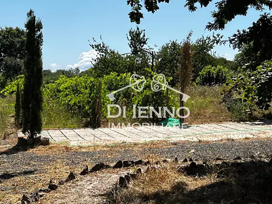 Immagine 41 di Terreno edificabile in vendita  in Strada Valle del Dragone a Arlena Di Castro