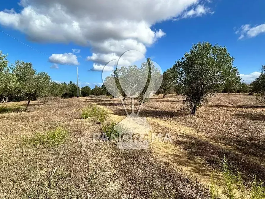 Immagine 26 di Terreno edificabile in vendita  in Strada Statale 113 a Partinico