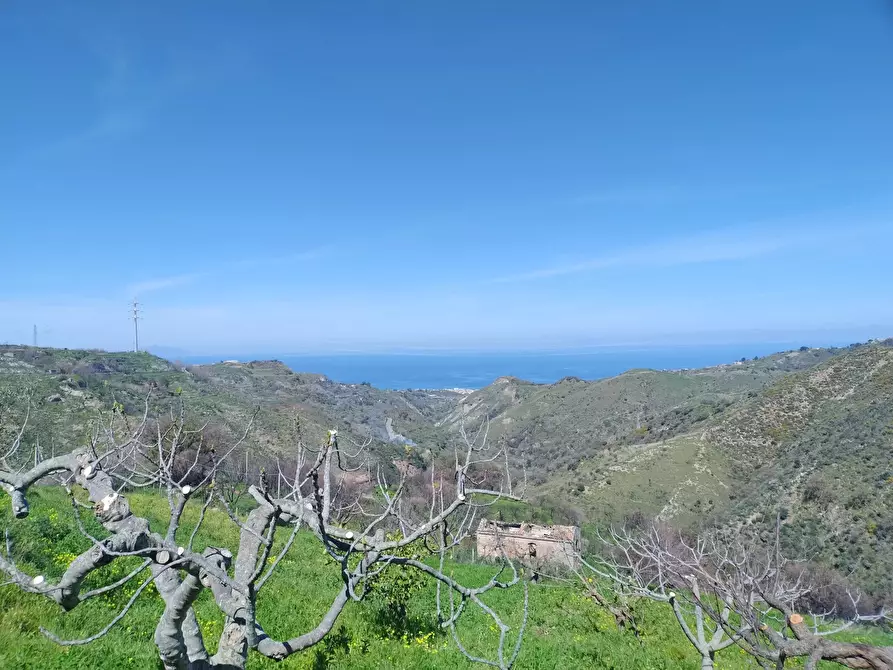 Immagine 17 di Terreno in vendita  in Contrada Bosco, roccavaldina, me a Condrò