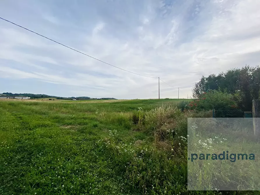 Immagine 4 di Terreno edificabile in vendita  in Località Vo a San Salvatore Monferrato