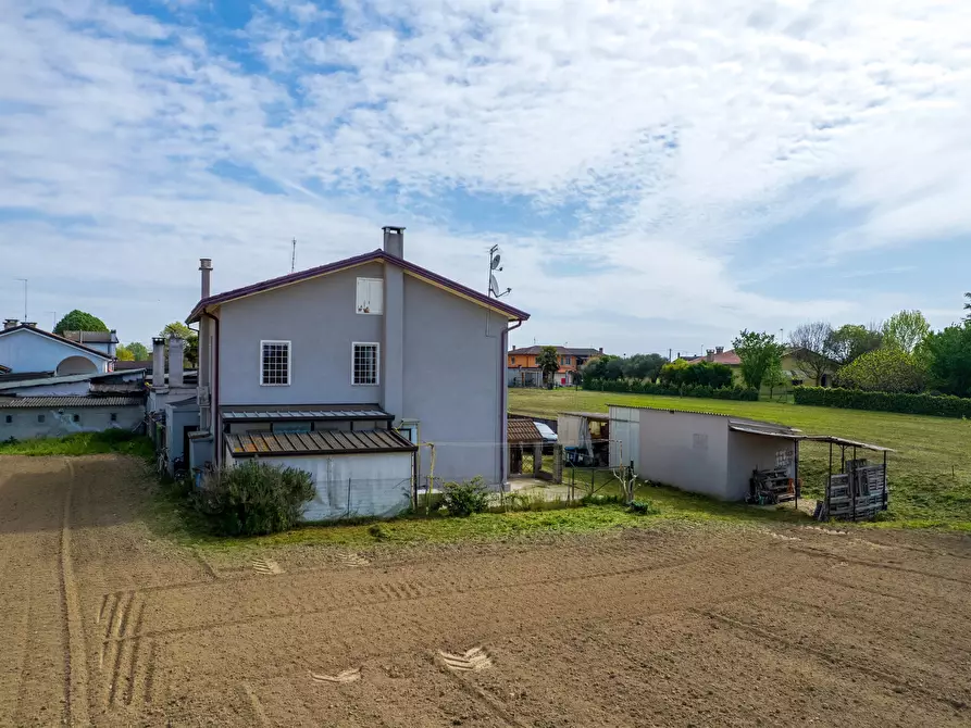 Immagine 44 di Terreno edificabile in vendita  a Campagna Lupia