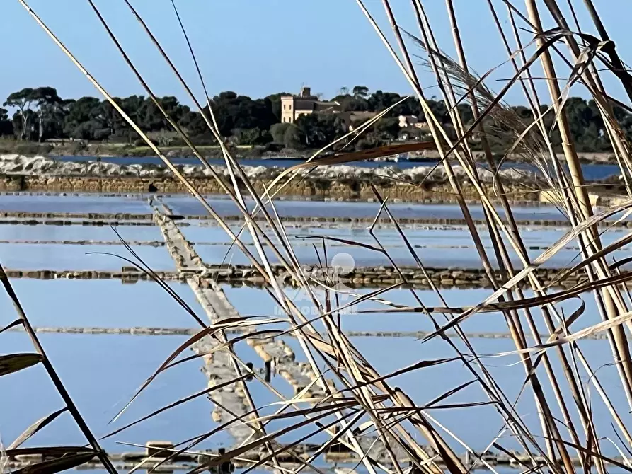 Immagine 32 di Terreno in vendita  a Marsala