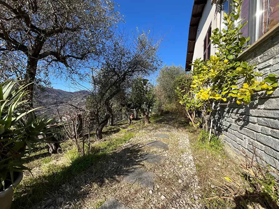 Immagine 10 di Casa trifamiliare in vendita  in via dei caduti a Coreglia Ligure