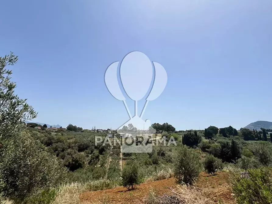 Immagine 25 di Terreno in vendita  in Contrada Vallone del Lupo a Alcamo