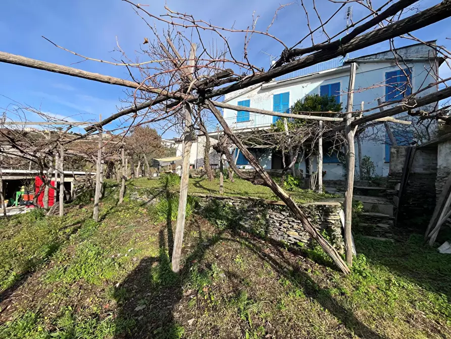 Immagine 2 di Terreno edificabile in vendita  in Sorlana a Lavagna