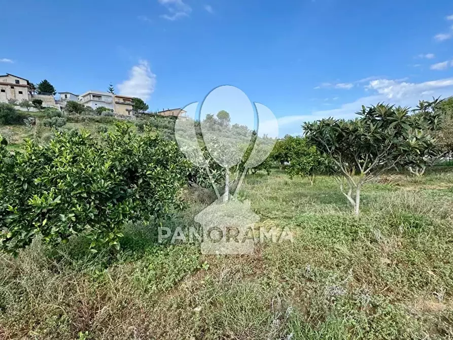 Immagine 12 di Terreno in vendita  in Contrada Timpi Rossi a Alcamo