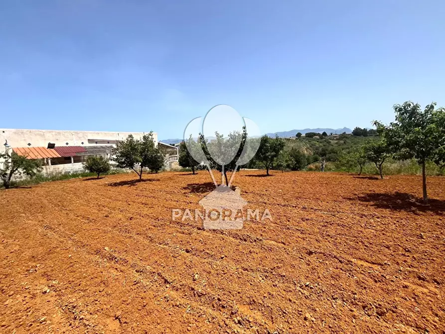 Immagine 13 di Terreno in vendita  in Contrada Vallone del Lupo a Alcamo