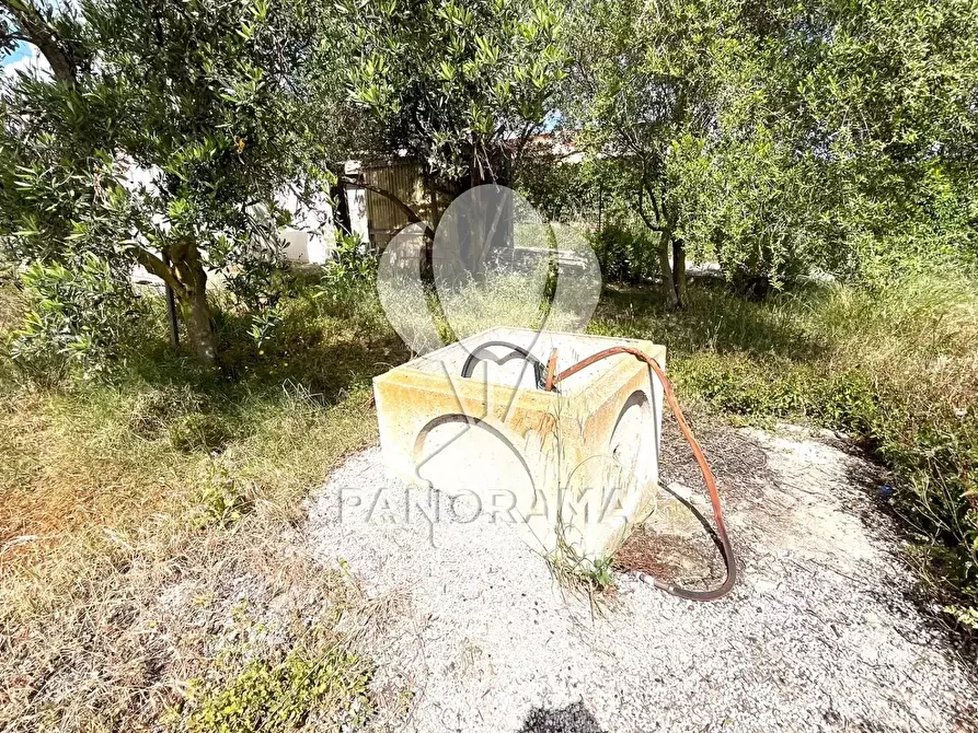 Immagine 20 di Terreno in vendita  in Contrada Cassarà a Partinico