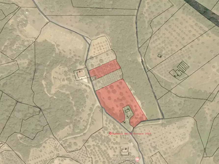 Immagine 4 di Terreno in vendita  in contrada Croce D'Alli, Bisignano, CS a Bisignano
