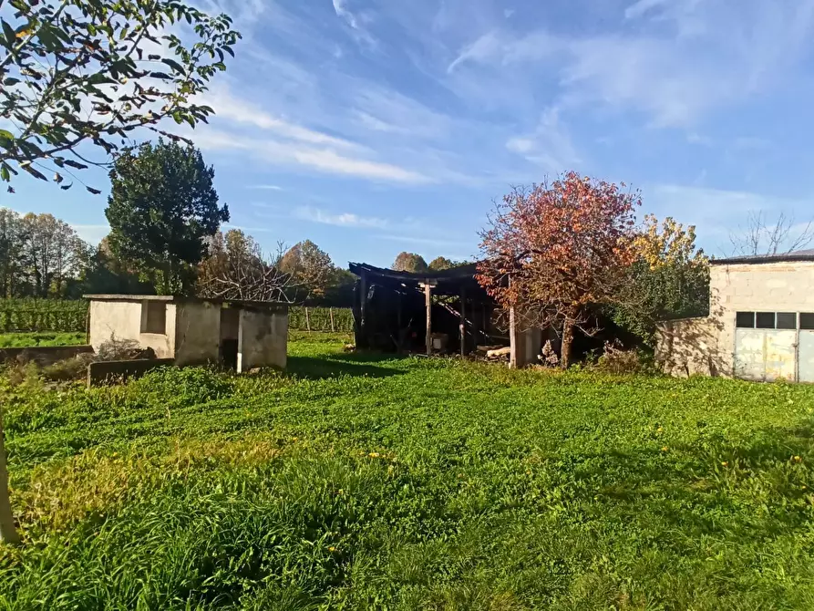 Immagine 5 di Terreno edificabile in vendita  a Vittorio Veneto