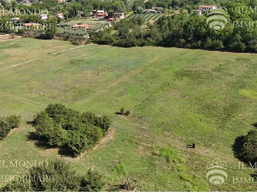 Immagine 8 di Terreno in vendita  in Località Albanetta a Palombara Sabina