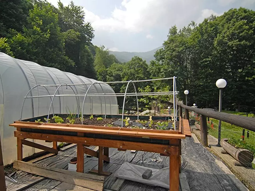 Immagine 8 di Terreno edificabile in vendita  a Bellino