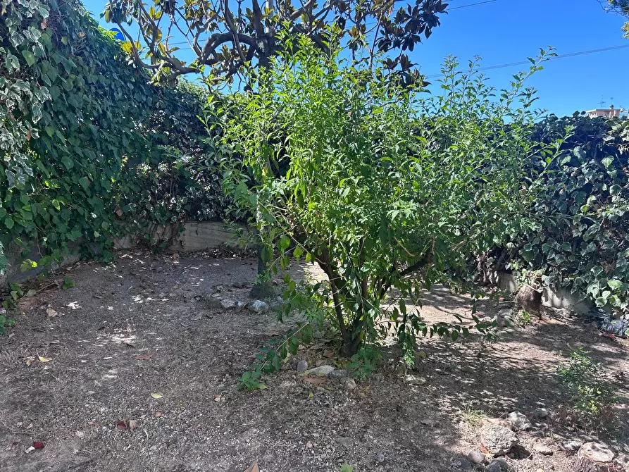 Immagine 15 di Casa trifamiliare in vendita  a Ventimiglia