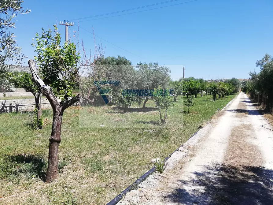 Immagine 9 di Terreno edificabile in vendita  in Traversa Vallone Carancino a Siracusa